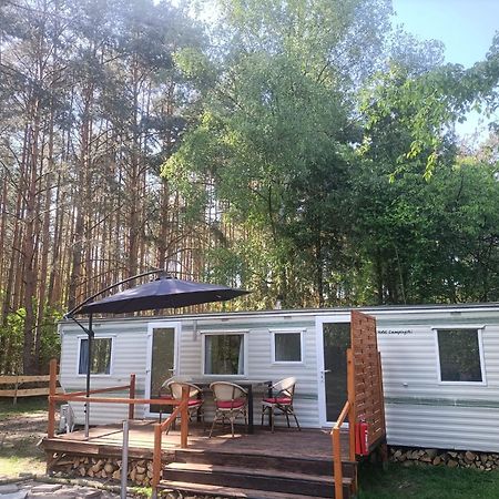 Tinyhaus Idyllisch Am Waldesrand Hotel Cottbus Kültér fotó