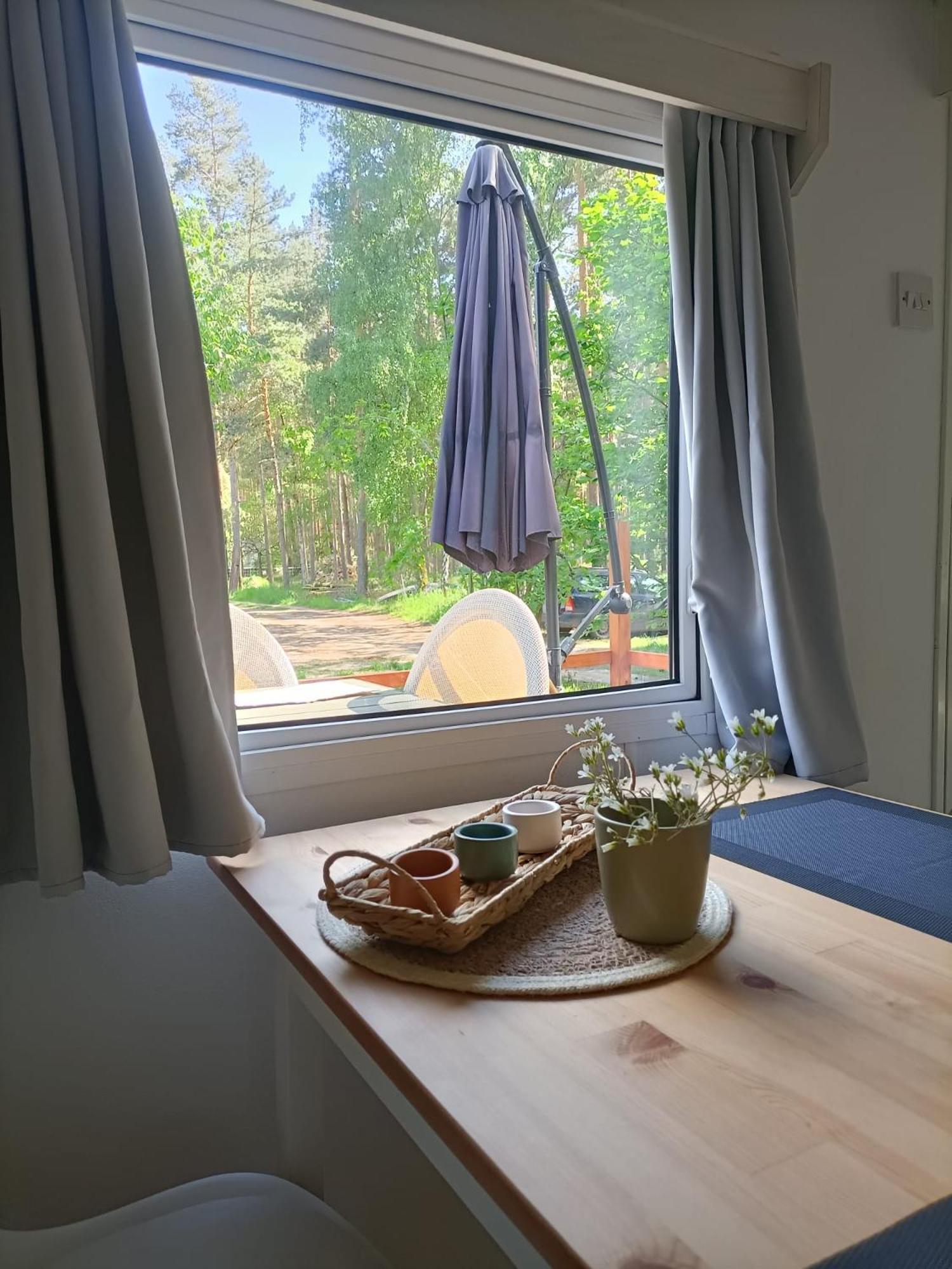 Tinyhaus Idyllisch Am Waldesrand Hotel Cottbus Kültér fotó