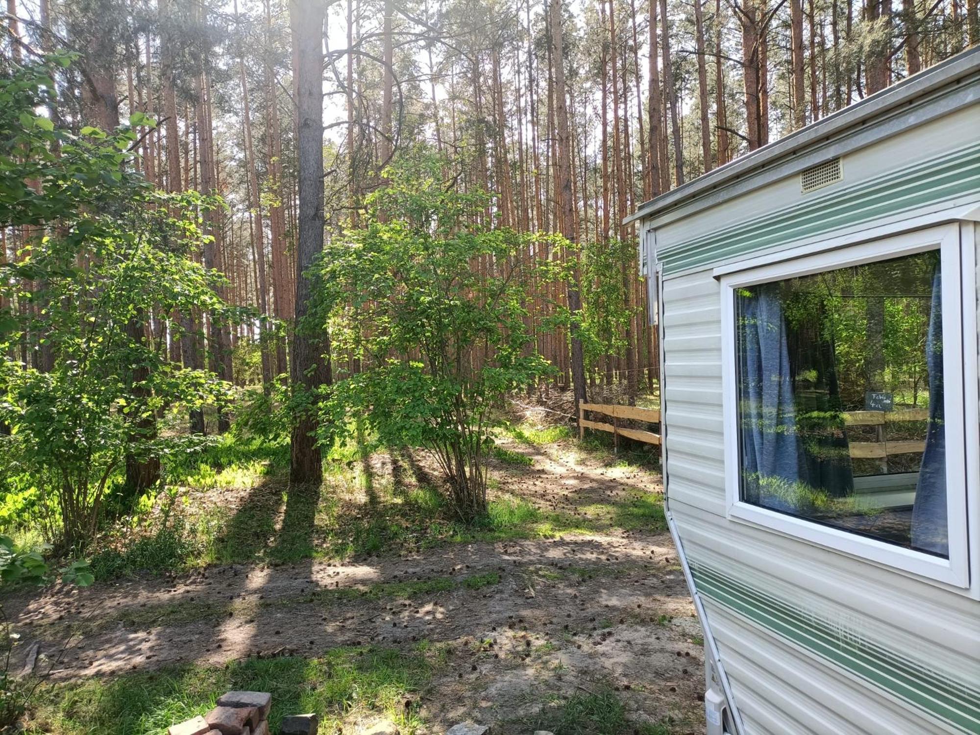 Tinyhaus Idyllisch Am Waldesrand Hotel Cottbus Kültér fotó